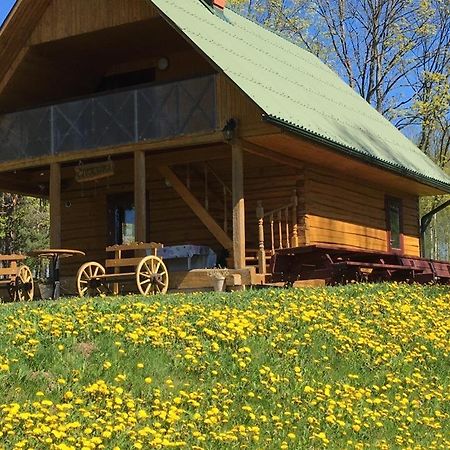 "Ciekuri" Villa Aglona Kültér fotó