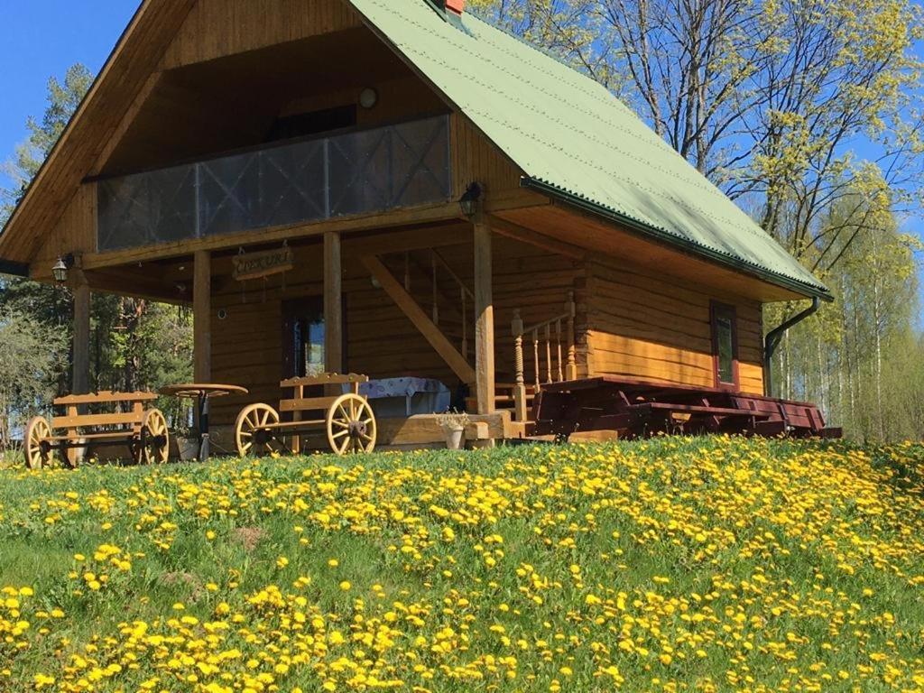 "Ciekuri" Villa Aglona Kültér fotó