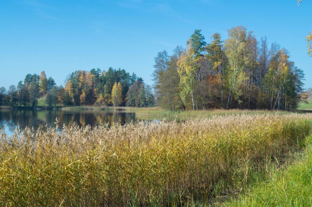 "Ciekuri" Villa Aglona Kültér fotó