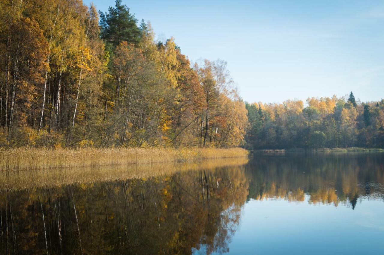 "Ciekuri" Villa Aglona Kültér fotó